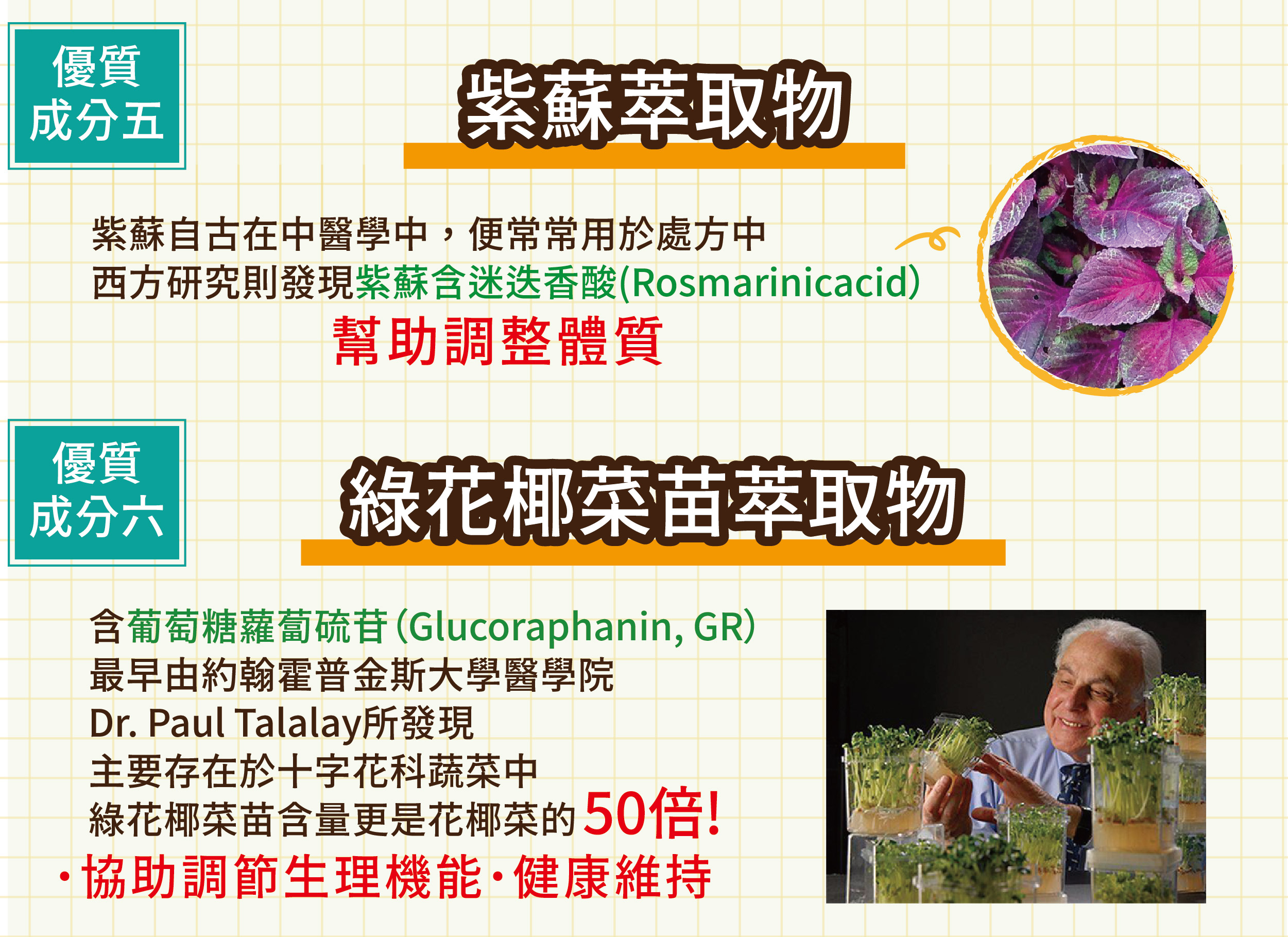 DH恆隆生技/評價/第七代敏之素益生菌/調整體質/改善細菌叢生態/寶寶益生菌/免疫力/保護力/敏感/Wellmune葡聚多醣體